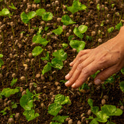 Leading the Way as a Proud B Corp